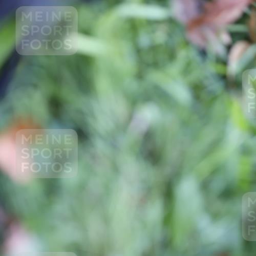 17.08.2025 - KN Förde Triathlon 2025 Yannick Fuchs http://msf.ph/oto/8628895 17.08.2025 15:08:27 Radfahren  meine-sportfotos.de
