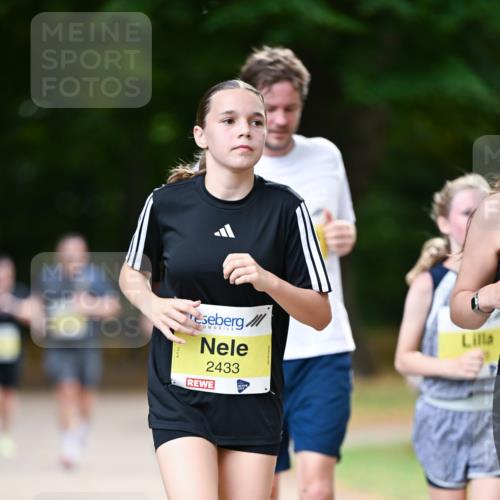 31.08.2025 - 21. Blankeneser Heldenlauf Dr. Thomas Lammeyer http://msf.ph/oto/8632445 31.08.2025 10:21:00 Laufen 2433 meine-sportfotos.de