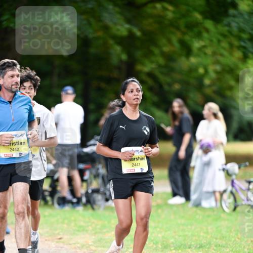 31.08.2025 - 21. Blankeneser Heldenlauf Dr. Thomas Lammeyer http://msf.ph/oto/8632543 31.08.2025 10:21:35 Laufen 2442, 11, 3, 2441 meine-sportfotos.de