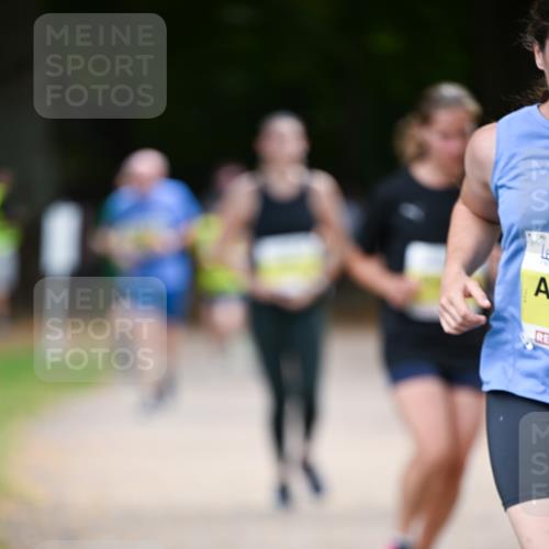 31.08.2025 - 21. Blankeneser Heldenlauf Dr. Thomas Lammeyer http://msf.ph/oto/8632794 31.08.2025 10:22:31 Laufen  meine-sportfotos.de