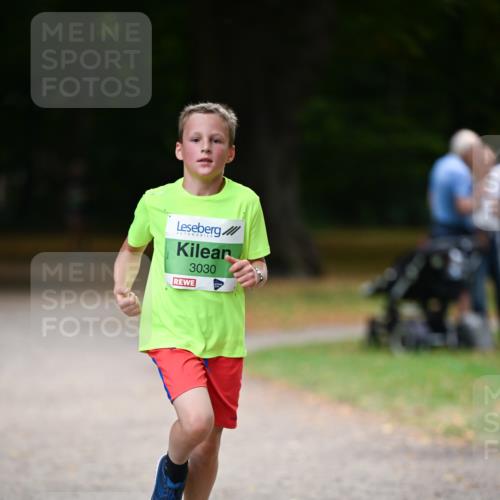 31.08.2025 - 21. Blankeneser Heldenlauf Dr. Thomas Lammeyer http://msf.ph/oto/8634830 31.08.2025 10:35:22 Laufen 3030 meine-sportfotos.de