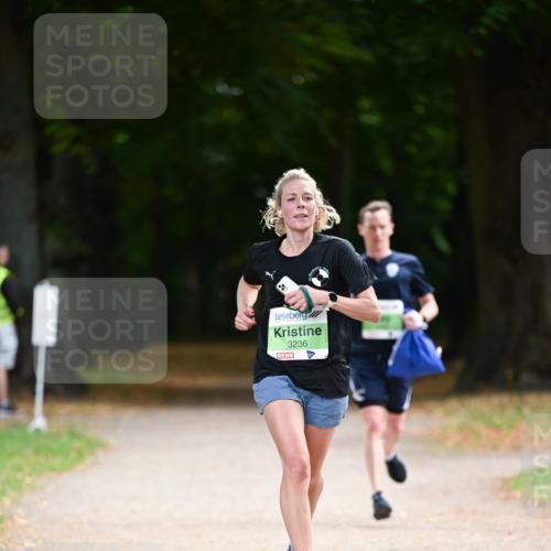 31.08.2025 - 21. Blankeneser Heldenlauf Dr. Thomas Lammeyer http://msf.ph/oto/8634844 31.08.2025 10:35:36 Laufen 3236 meine-sportfotos.de