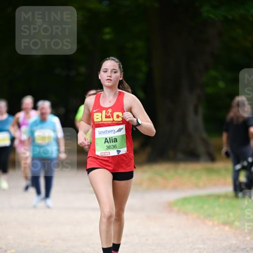 31.08.2025 - 21. Blankeneser Heldenlauf Dr. Thomas Lammeyer http://msf.ph/oto/8635051 31.08.2025 10:37:01 Laufen 3636 meine-sportfotos.de
