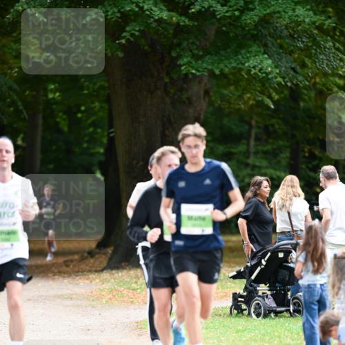 31.08.2025 - 21. Blankeneser Heldenlauf Dr. Thomas Lammeyer http://msf.ph/oto/8635382 31.08.2025 10:38:38 Laufen  meine-sportfotos.de