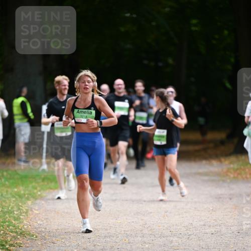31.08.2025 - 21. Blankeneser Heldenlauf Dr. Thomas Lammeyer http://msf.ph/oto/8636045 31.08.2025 10:42:17 Laufen 3218 meine-sportfotos.de