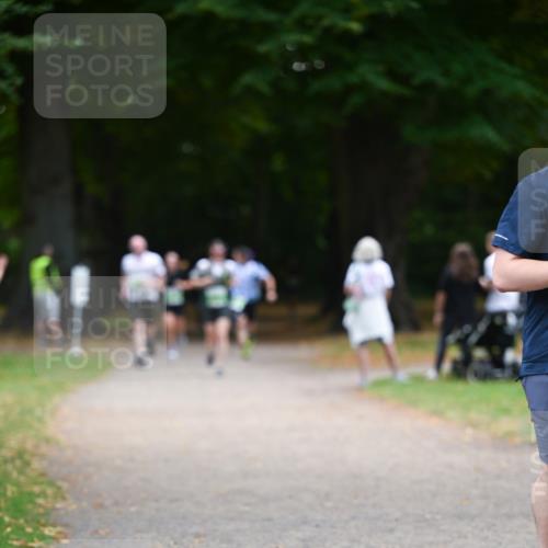 31.08.2025 - 21. Blankeneser Heldenlauf Dr. Thomas Lammeyer http://msf.ph/oto/8636280 31.08.2025 10:43:22 Laufen  meine-sportfotos.de