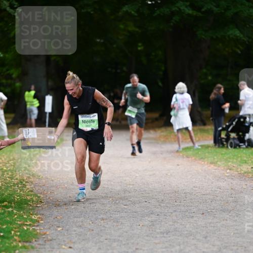 31.08.2025 - 21. Blankeneser Heldenlauf Dr. Thomas Lammeyer http://msf.ph/oto/8636345 31.08.2025 10:43:40 Laufen 3487 meine-sportfotos.de