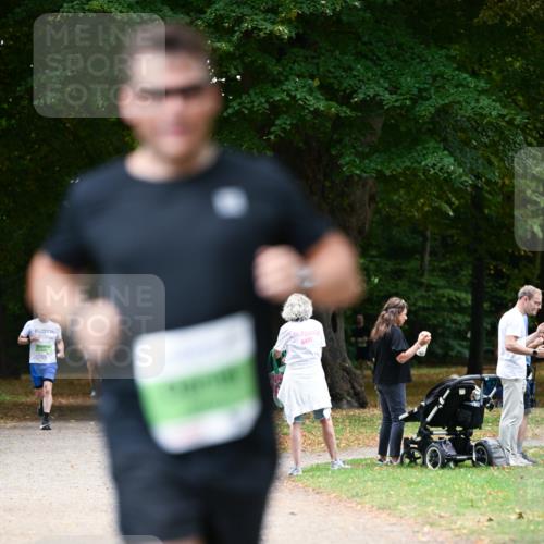 31.08.2025 - 21. Blankeneser Heldenlauf Dr. Thomas Lammeyer http://msf.ph/oto/8636401 31.08.2025 10:44:00 Laufen  meine-sportfotos.de