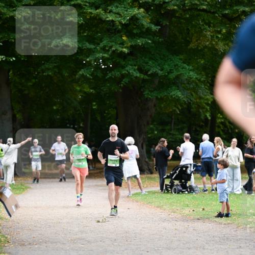 31.08.2025 - 21. Blankeneser Heldenlauf Dr. Thomas Lammeyer http://msf.ph/oto/8636488 31.08.2025 10:44:23 Laufen  meine-sportfotos.de