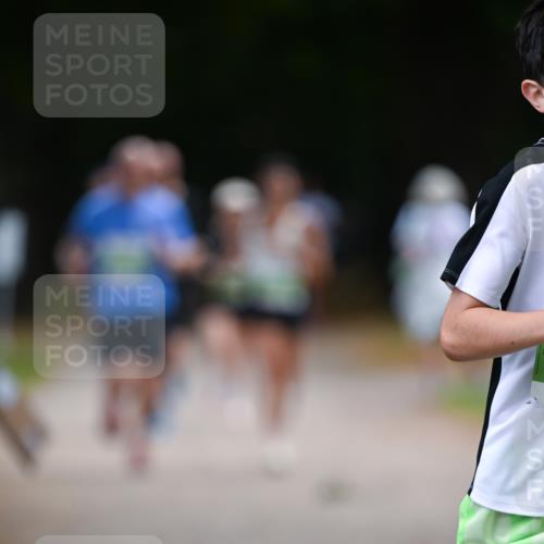 31.08.2025 - 21. Blankeneser Heldenlauf Dr. Thomas Lammeyer http://msf.ph/oto/8636617 31.08.2025 10:44:51 Laufen  meine-sportfotos.de