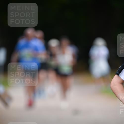 31.08.2025 - 21. Blankeneser Heldenlauf Dr. Thomas Lammeyer http://msf.ph/oto/8636618 31.08.2025 10:44:51 Laufen  meine-sportfotos.de