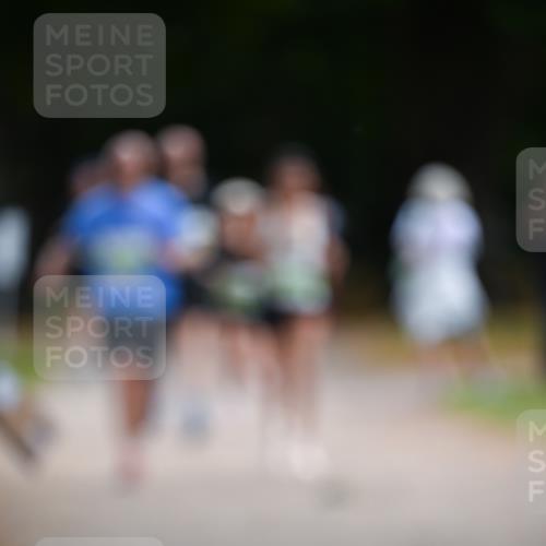 31.08.2025 - 21. Blankeneser Heldenlauf Dr. Thomas Lammeyer http://msf.ph/oto/8636619 31.08.2025 10:44:51 Laufen  meine-sportfotos.de