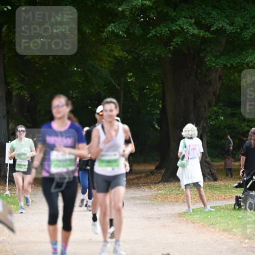 31.08.2025 - 21. Blankeneser Heldenlauf Dr. Thomas Lammeyer http://msf.ph/oto/8637113 31.08.2025 10:47:02 Laufen  meine-sportfotos.de