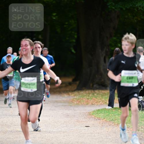 31.08.2025 - 21. Blankeneser Heldenlauf Dr. Thomas Lammeyer http://msf.ph/oto/8637844 31.08.2025 10:50:08 Laufen  meine-sportfotos.de