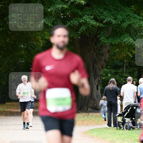 31.08.2025 - 21. Blankeneser Heldenlauf Dr. Thomas Lammeyer http://msf.ph/oto/8637966 31.08.2025 10:50:42 Laufen  meine-sportfotos.de