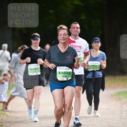 31.08.2025 - 21. Blankeneser Heldenlauf Dr. Thomas Lammeyer http://msf.ph/oto/8638727 31.08.2025 10:53:46 Laufen 3345, 3536 meine-sportfotos.de