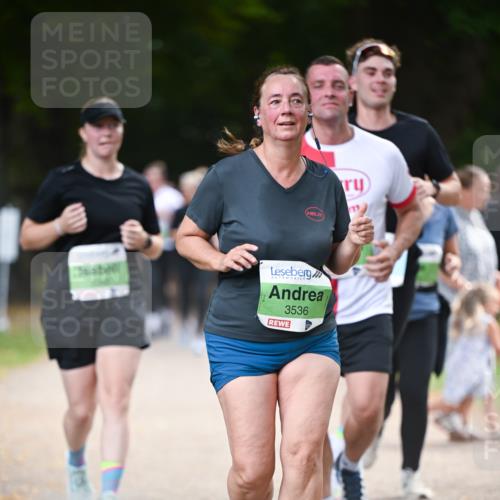 31.08.2025 - 21. Blankeneser Heldenlauf Dr. Thomas Lammeyer http://msf.ph/oto/8638737 31.08.2025 10:53:48 Laufen 3536 meine-sportfotos.de