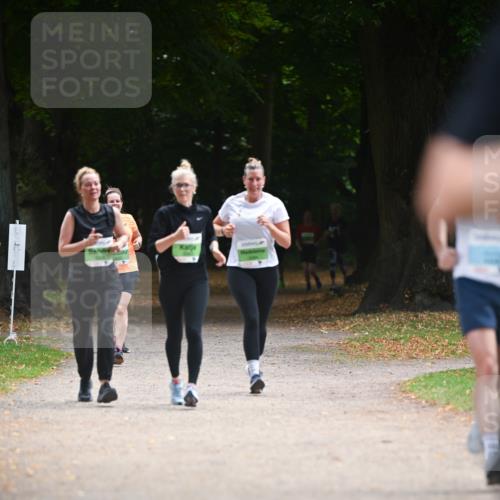 31.08.2025 - 21. Blankeneser Heldenlauf Dr. Thomas Lammeyer http://msf.ph/oto/8638759 31.08.2025 10:53:51 Laufen  meine-sportfotos.de