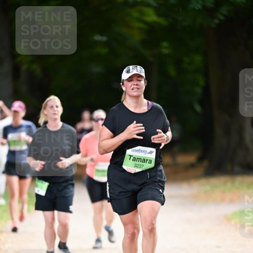 31.08.2025 - 21. Blankeneser Heldenlauf Dr. Thomas Lammeyer http://msf.ph/oto/8639167 31.08.2025 10:55:39 Laufen 3237 meine-sportfotos.de