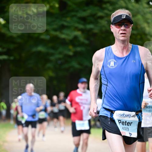 31.08.2025 - 21. Blankeneser Heldenlauf Dr. Thomas Lammeyer http://msf.ph/oto/8639495 31.08.2025 10:57:12 Laufen 4323 meine-sportfotos.de