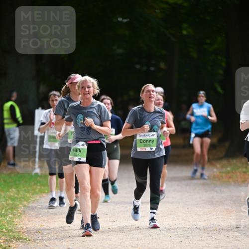 31.08.2025 - 21. Blankeneser Heldenlauf Dr. Thomas Lammeyer http://msf.ph/oto/8640030 31.08.2025 10:59:08 Laufen 3527, 3529 meine-sportfotos.de