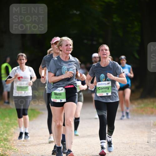 31.08.2025 - 21. Blankeneser Heldenlauf Dr. Thomas Lammeyer http://msf.ph/oto/8640041 31.08.2025 10:59:10 Laufen 3527, 3529 meine-sportfotos.de