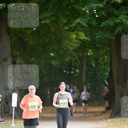 31.08.2025 - 21. Blankeneser Heldenlauf Dr. Thomas Lammeyer http://msf.ph/oto/8641956 31.08.2025 11:04:59 Laufen 3463, 3087 meine-sportfotos.de