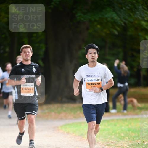 31.08.2025 - 21. Blankeneser Heldenlauf Dr. Thomas Lammeyer http://msf.ph/oto/8643122 31.08.2025 11:08:55 Laufen 5337, 5004 meine-sportfotos.de