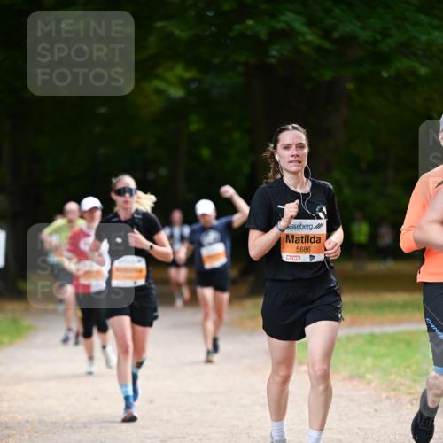 31.08.2025 - 21. Blankeneser Heldenlauf Dr. Thomas Lammeyer http://msf.ph/oto/8645672 31.08.2025 11:16:16 Laufen 5686 meine-sportfotos.de