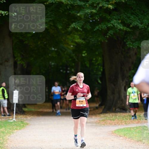 31.08.2025 - 21. Blankeneser Heldenlauf Dr. Thomas Lammeyer http://msf.ph/oto/8647599 31.08.2025 11:22:16 Laufen 5348 meine-sportfotos.de