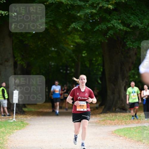 31.08.2025 - 21. Blankeneser Heldenlauf Dr. Thomas Lammeyer http://msf.ph/oto/8647600 31.08.2025 11:22:16 Laufen 5348 meine-sportfotos.de
