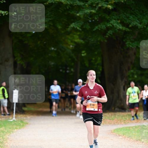 31.08.2025 - 21. Blankeneser Heldenlauf Dr. Thomas Lammeyer http://msf.ph/oto/8647605 31.08.2025 11:22:18 Laufen 5348 meine-sportfotos.de