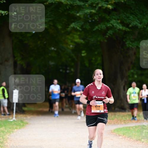 31.08.2025 - 21. Blankeneser Heldenlauf Dr. Thomas Lammeyer http://msf.ph/oto/8647610 31.08.2025 11:22:18 Laufen 3, 1, 5348 meine-sportfotos.de