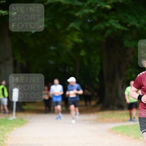 31.08.2025 - 21. Blankeneser Heldenlauf Dr. Thomas Lammeyer http://msf.ph/oto/8647630 31.08.2025 11:22:20 Laufen  meine-sportfotos.de