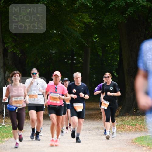 31.08.2025 - 21. Blankeneser Heldenlauf Dr. Thomas Lammeyer http://msf.ph/oto/8647929 31.08.2025 11:23:07 Laufen  meine-sportfotos.de