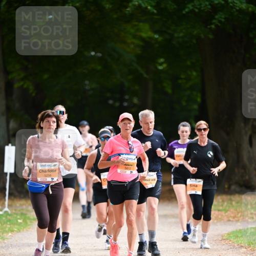 31.08.2025 - 21. Blankeneser Heldenlauf Dr. Thomas Lammeyer http://msf.ph/oto/8647946 31.08.2025 11:23:09 Laufen 5256, 5812, 5516 meine-sportfotos.de