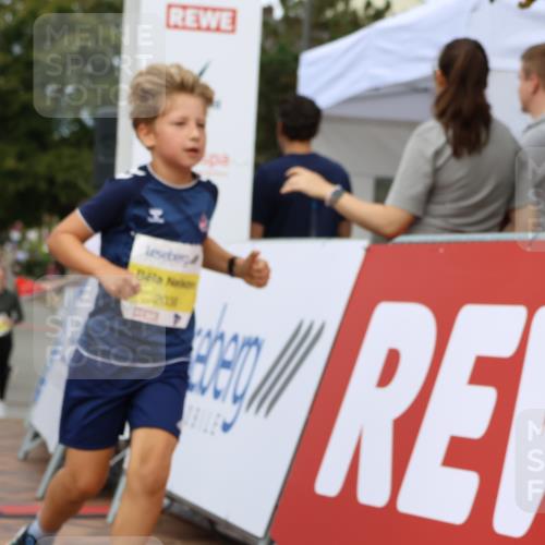 31.08.2025 - 21. Blankeneser Heldenlauf Strokosch-Dieckow http://msf.ph/oto/8650133 31.08.2025 10:38:22 Ziel 2454, 2038, 2589, 2590 meine-sportfotos.de