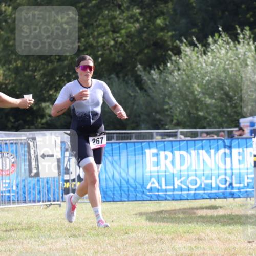 31.08.2025 - Elbe Triathlon Hamburg Strokosch-Dieckow http://msf.ph/oto/8650847 31.08.2025 09:53:18 Laufen 100, 100, 267 meine-sportfotos.de