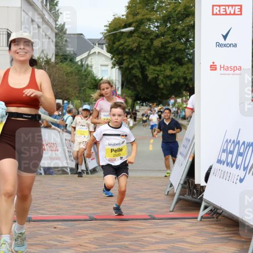 31.08.2025 - 21. Blankeneser Heldenlauf Strokosch-Dieckow http://msf.ph/oto/8652904 31.08.2025 10:27:26 Ziel 2715, 2463, 2559, 2725, 2533, 2709 meine-sportfotos.de