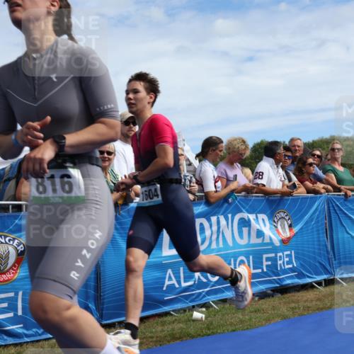 31.08.2025 - Elbe Triathlon Hamburg Strokosch-Dieckow http://msf.ph/oto/8655430 31.08.2025 11:49:56 Ziel 816, 1306, 1421, 1604 meine-sportfotos.de