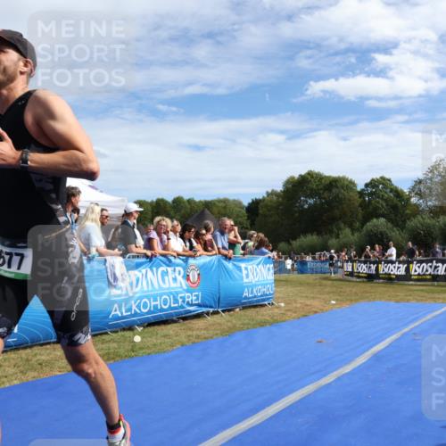 31.08.2025 - Elbe Triathlon Hamburg Strokosch-Dieckow http://msf.ph/oto/8655876 31.08.2025 11:55:20 Ziel 677, 808, 1492 meine-sportfotos.de