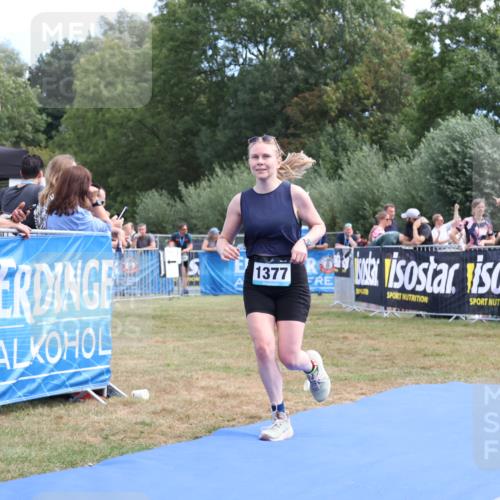 31.08.2025 - Elbe Triathlon Hamburg Strokosch-Dieckow http://msf.ph/oto/8656192 31.08.2025 11:59:45 Ziel 1377, 1430, 1530, 1588, 1610 meine-sportfotos.de