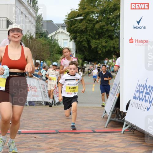 31.08.2025 - 21. Blankeneser Heldenlauf Strokosch-Dieckow http://msf.ph/oto/8660013 31.08.2025 10:27:26 Ziel 2715, 2463, 2559, 2725, 2533, 2709 meine-sportfotos.de