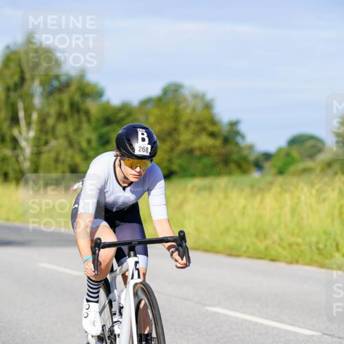 31.08.2025 - Elbe Triathlon Hamburg Michael Burmester http://msf.ph/oto/8665077 31.08.2025 09:27:48 Radfahren 268, 324, 624 meine-sportfotos.de