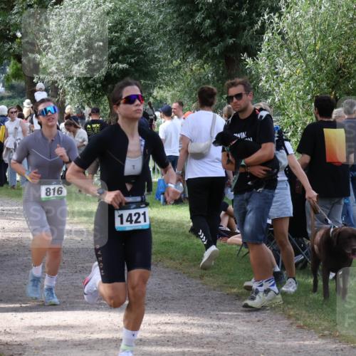 31.08.2025 - Elbe Triathlon Hamburg Luisa Fischer http://msf.ph/oto/8670625 31.08.2025 11:49:33 Laufen 816, 1421 meine-sportfotos.de