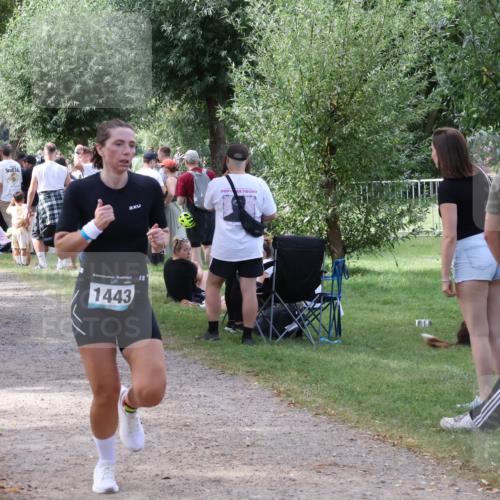 31.08.2025 - Elbe Triathlon Hamburg Luisa Fischer http://msf.ph/oto/8671136 31.08.2025 11:55:15 Laufen 404, 2, 1443, 11 meine-sportfotos.de