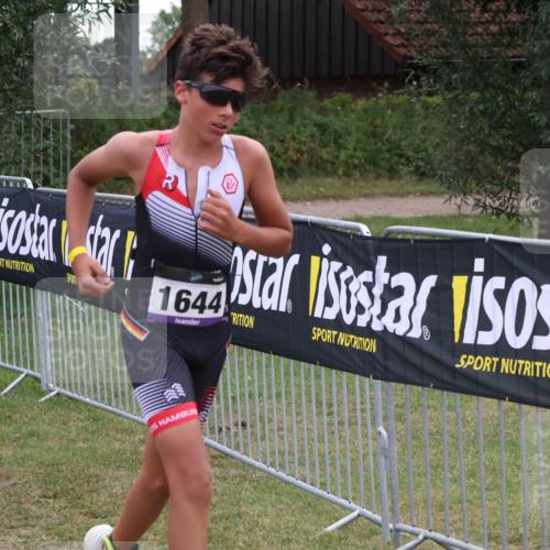 31.08.2025 - Elbe Triathlon Hamburg Luisa Fischer http://msf.ph/oto/8672543 31.08.2025 13:02:24 Laufen 2017, 1644 meine-sportfotos.de