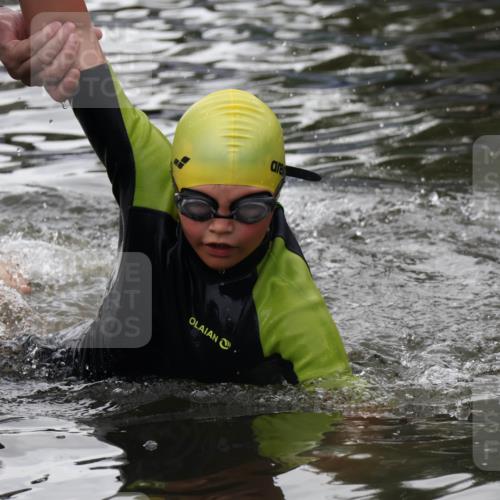 31.08.2025 - Elbe Triathlon Hamburg Luisa Fischer http://msf.ph/oto/8679212 31.08.2025 12:36:33 Schwimmen 1682 meine-sportfotos.de