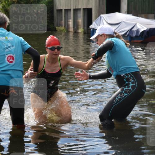 31.08.2025 - Elbe Triathlon Hamburg Luisa Fischer http://msf.ph/oto/8680102 31.08.2025 14:30:32 Schwimmen  meine-sportfotos.de