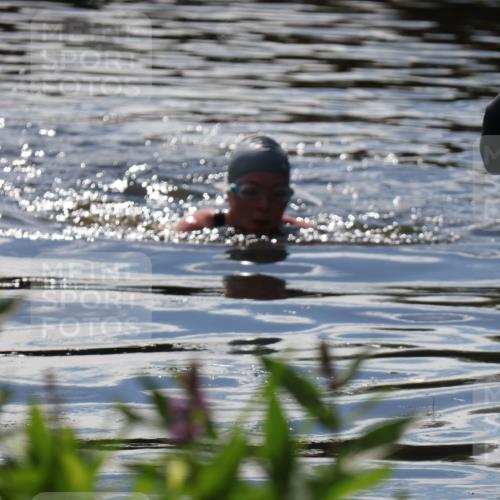 31.08.2025 - Elbe Triathlon Hamburg Luisa Fischer http://msf.ph/oto/8680614 31.08.2025 14:51:38 Schwimmen  meine-sportfotos.de